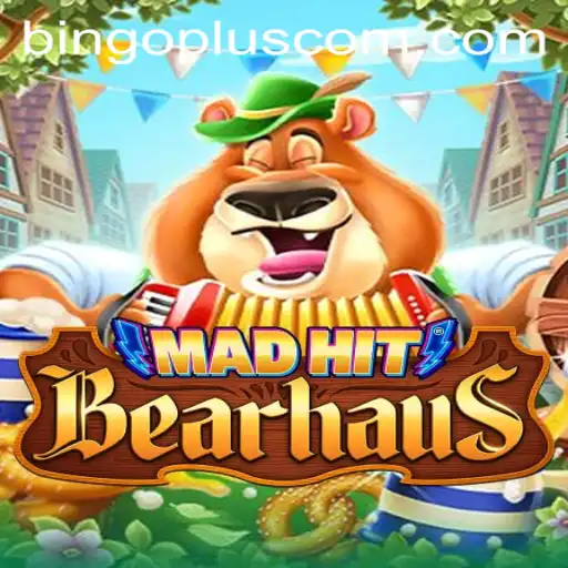 MadHitBearhaus: The Dynamic Gaming Experience