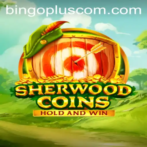 Exploring the World of SherwoodCoins: A New Era of Gaming