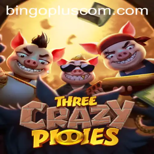 Discovering ThreeCrazyPiggies at bingoplus com